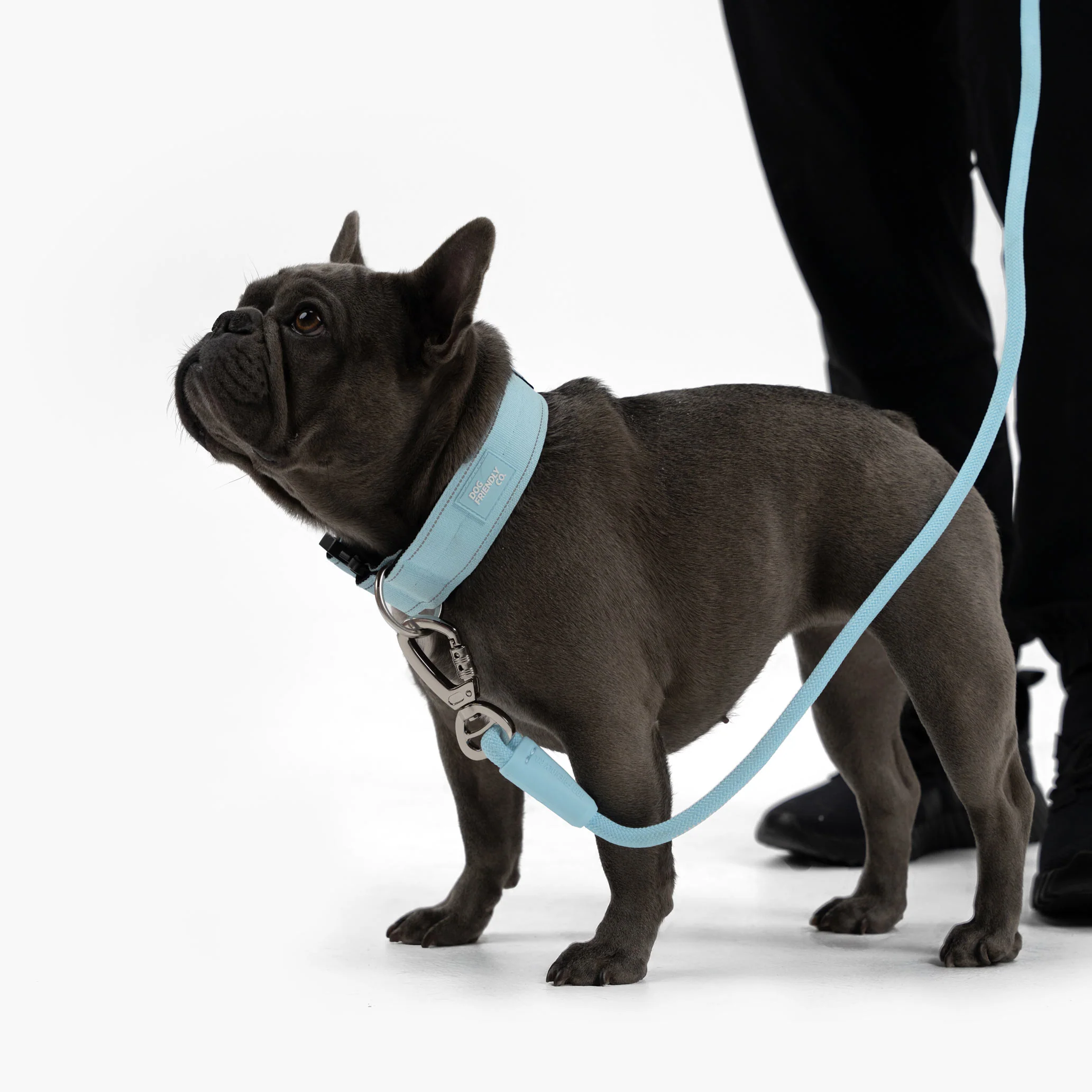 Thumbnail 17
