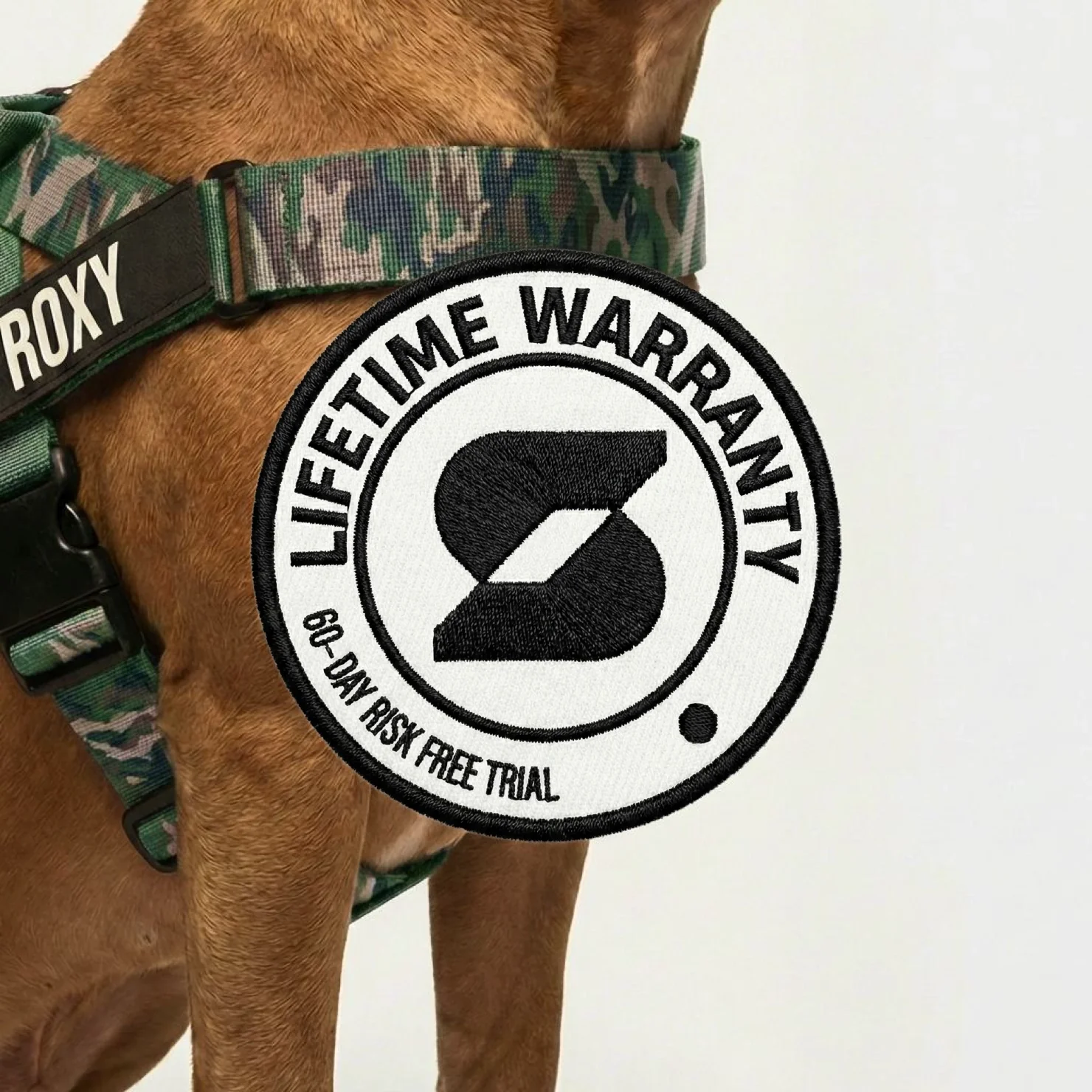 Thumbnail 8