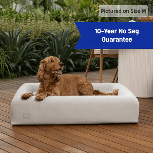 Thumbnail 58